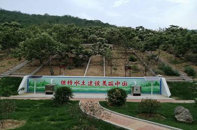 地表径流泥沙自动监测设备